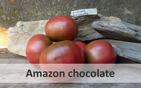 amazon chocolate